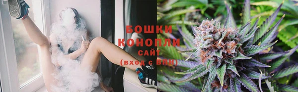 PSILOCYBIN Кинешма