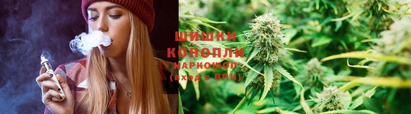 PSILOCYBIN Кинешма