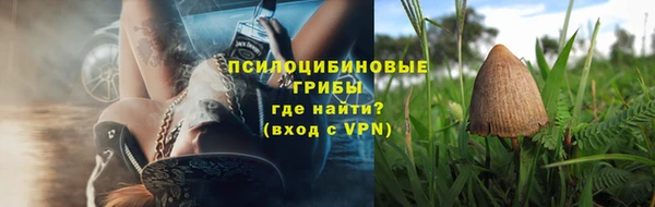 индика Абдулино