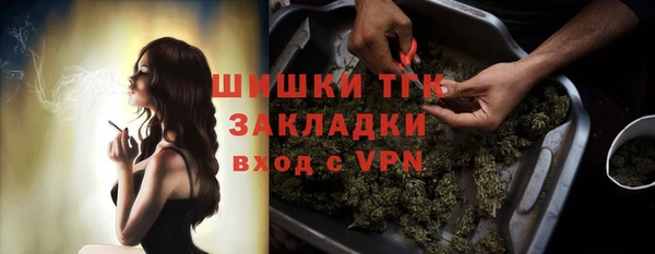 индика Абдулино