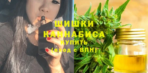 индика Абдулино