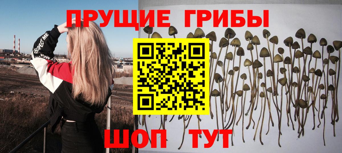 Псилоцибиновые грибы Magic Shrooms  Вход с VPN  Назрань 
